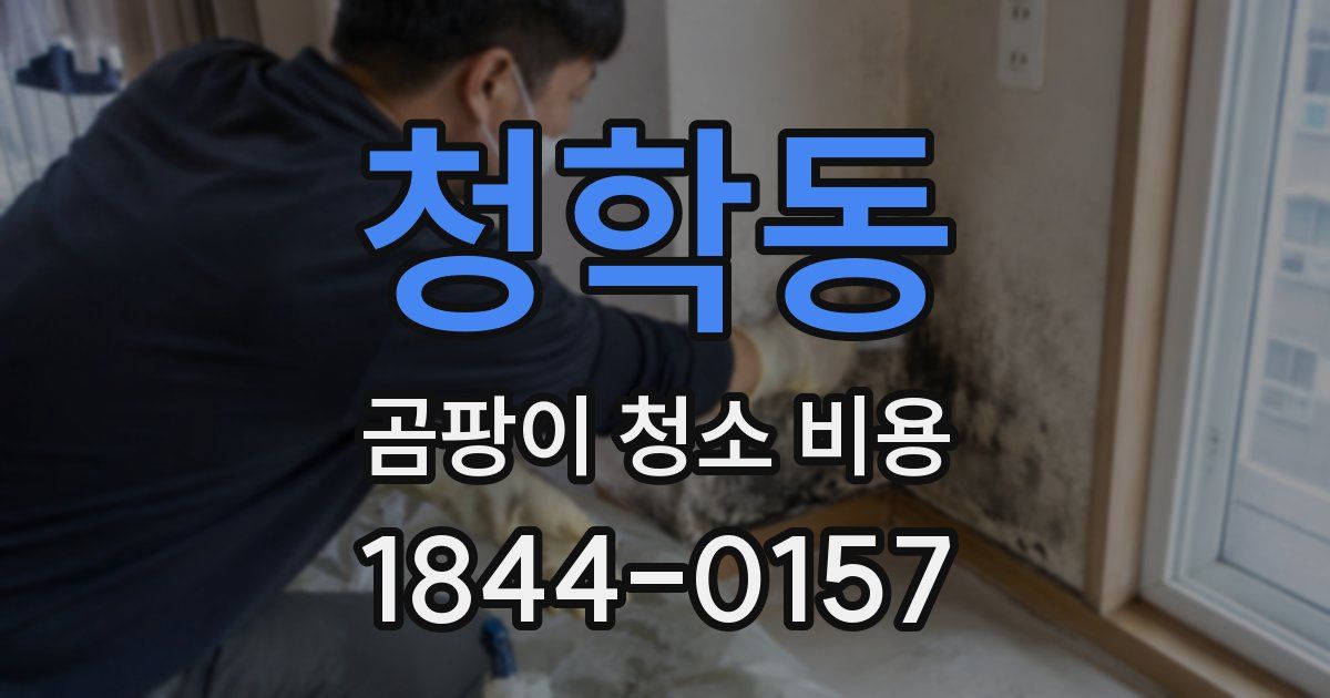 청학동 곰팡이 청소 비용