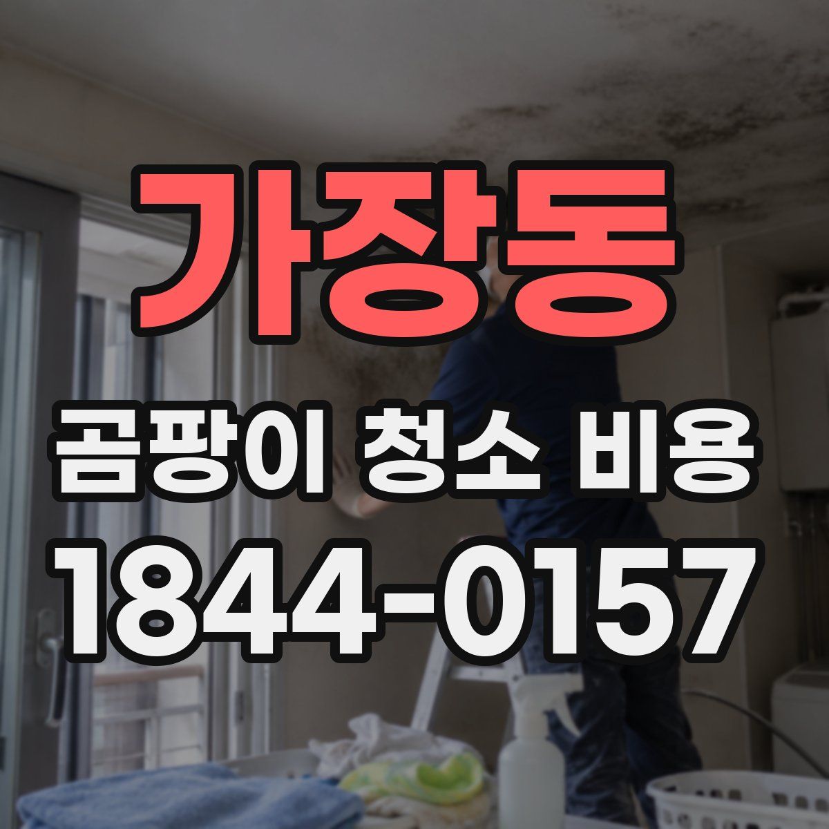 가장동 곰팡이 청소 비용