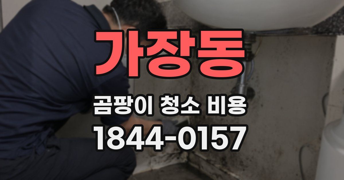 가장동 곰팡이 청소 비용