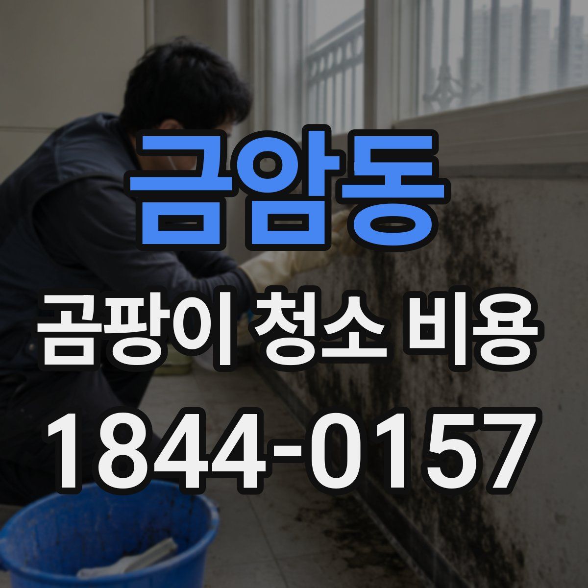 금암동 곰팡이 청소 비용