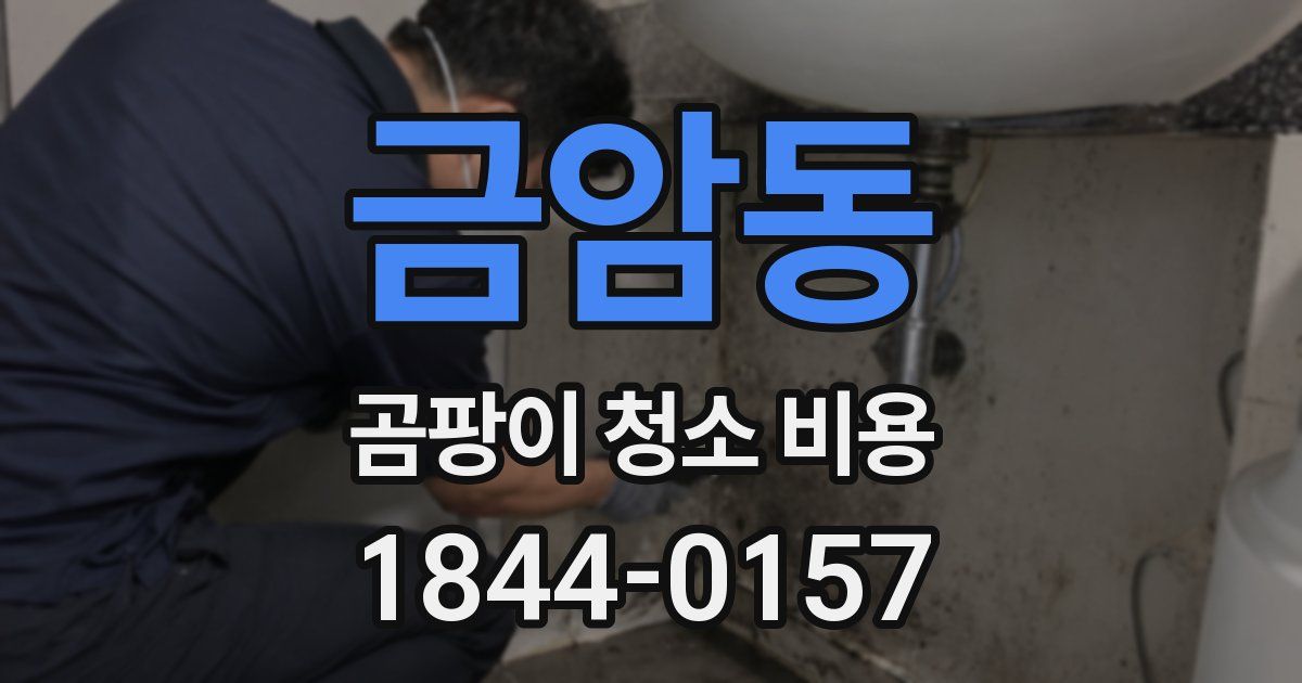 금암동 곰팡이 청소 비용