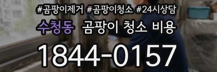 수청동 곰팡이 청소 비용