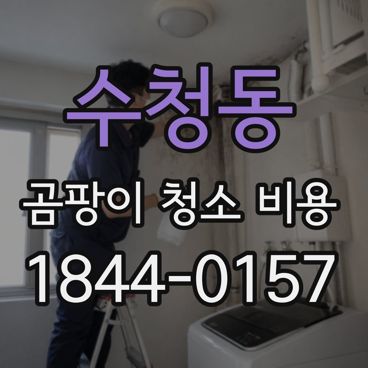 수청동 곰팡이 청소 비용