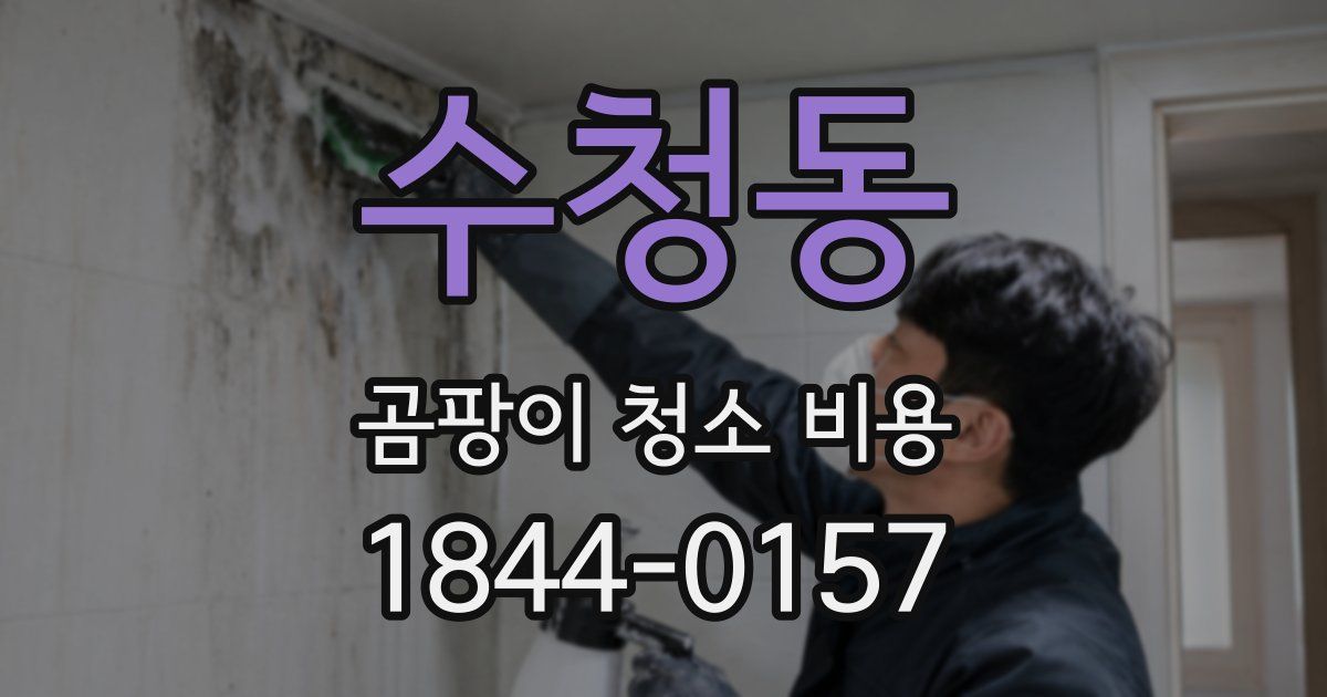 수청동 곰팡이 청소 비용