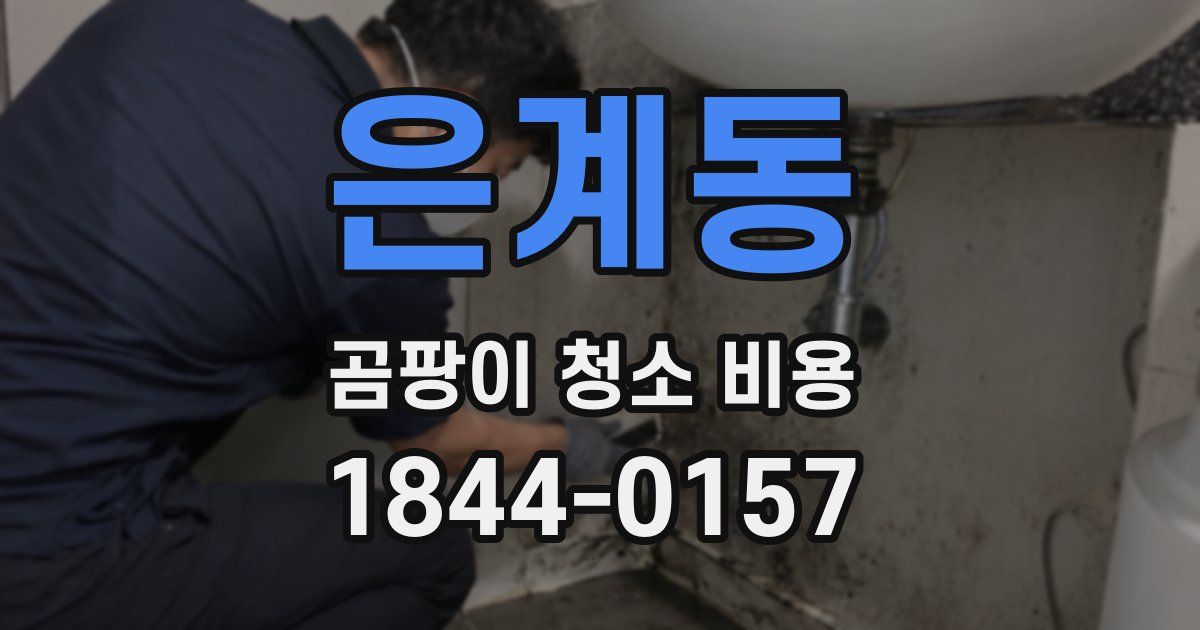 은계동 곰팡이 청소 비용