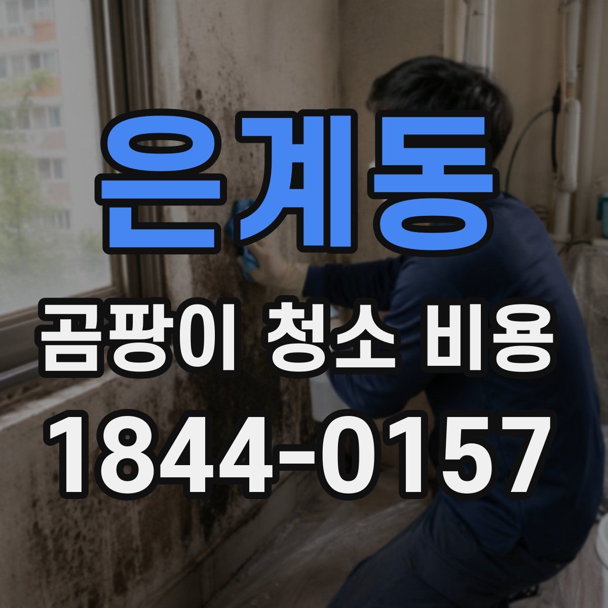 은계동 곰팡이 청소 비용