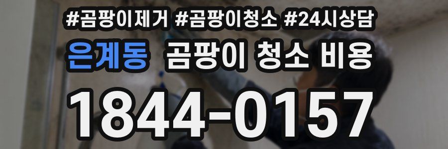 은계동 곰팡이 청소 비용