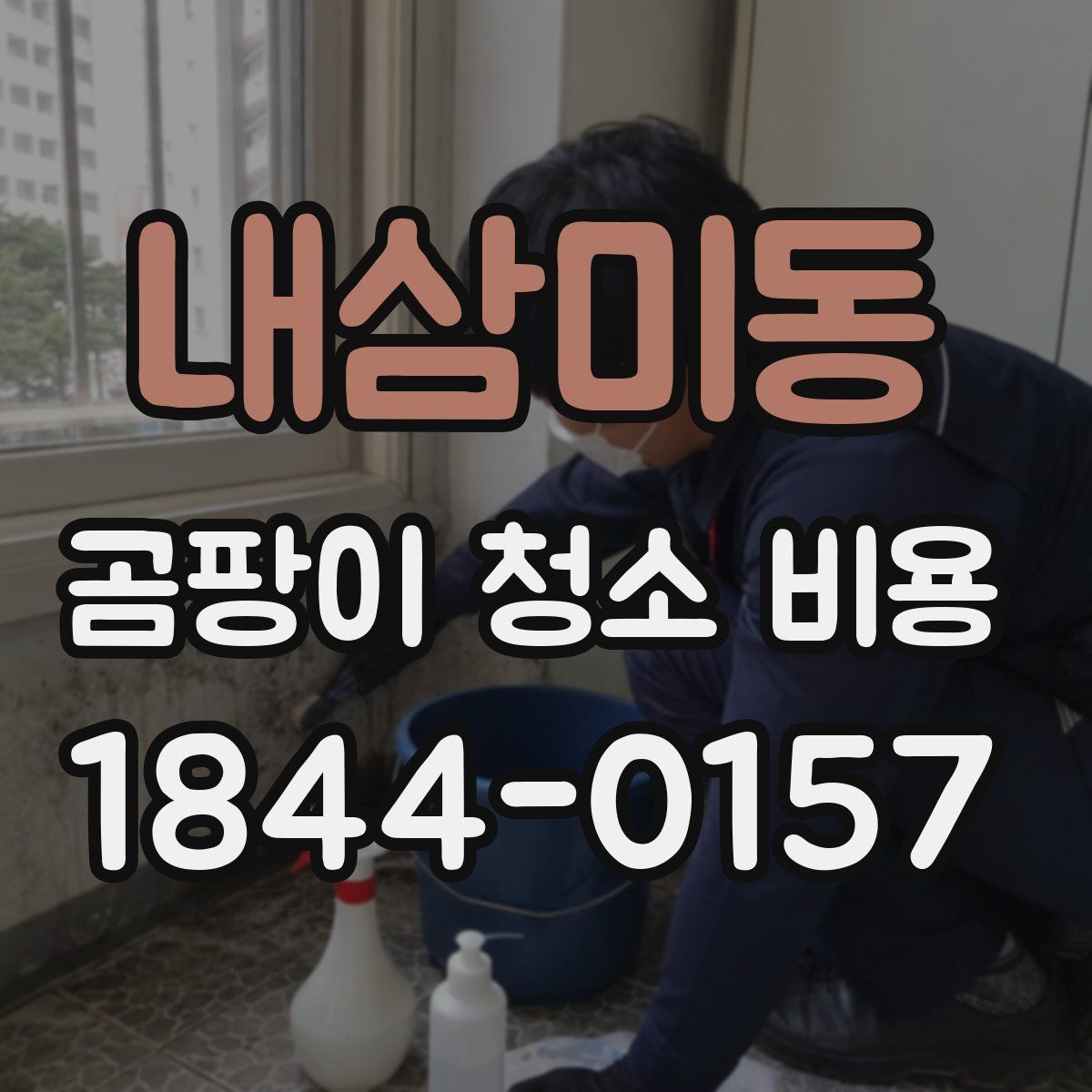 내삼미동 곰팡이 청소 비용