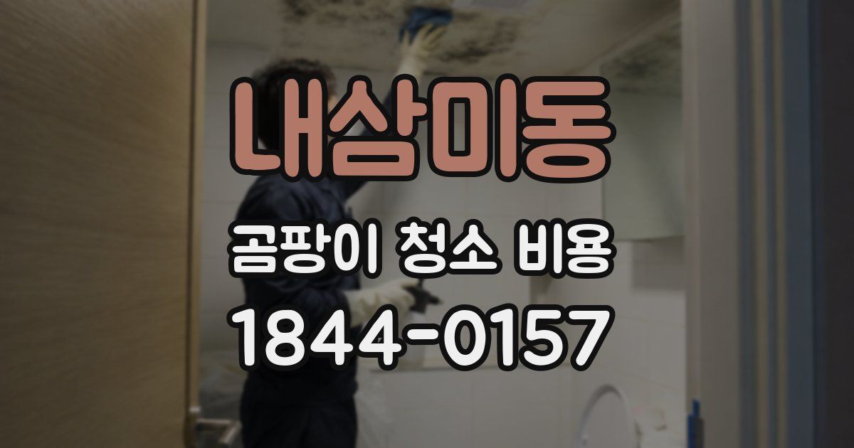 내삼미동 곰팡이 청소 비용