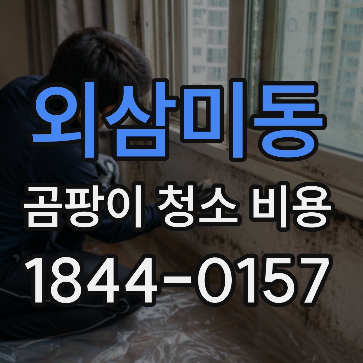 외삼미동 곰팡이 청소 비용