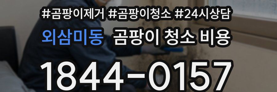 외삼미동 곰팡이 청소 비용