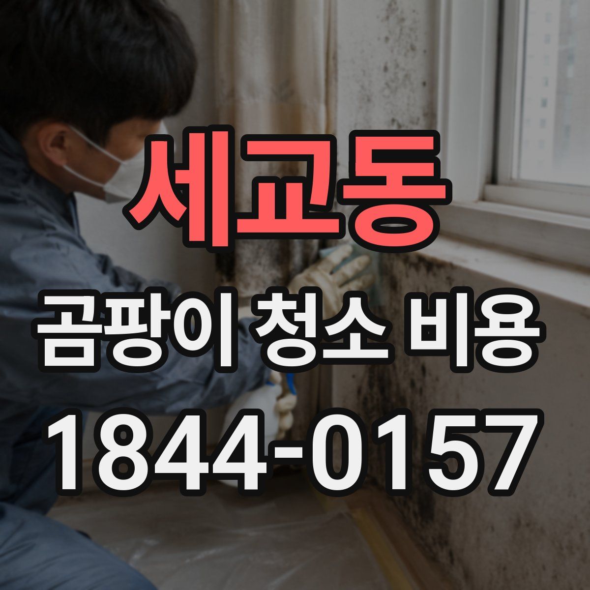 세교동 곰팡이 청소 비용