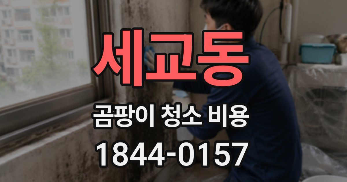 세교동 곰팡이 청소 비용