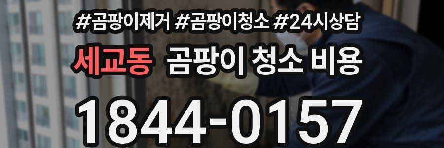 세교동 곰팡이 청소 비용