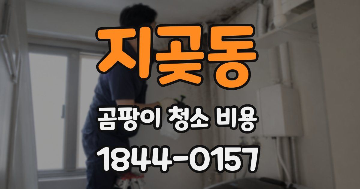 지곶동 곰팡이 청소 비용
