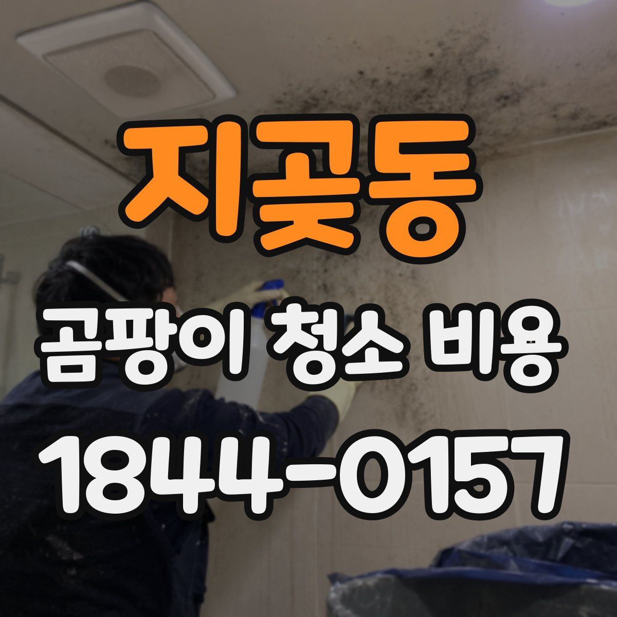 지곶동 곰팡이 청소 비용
