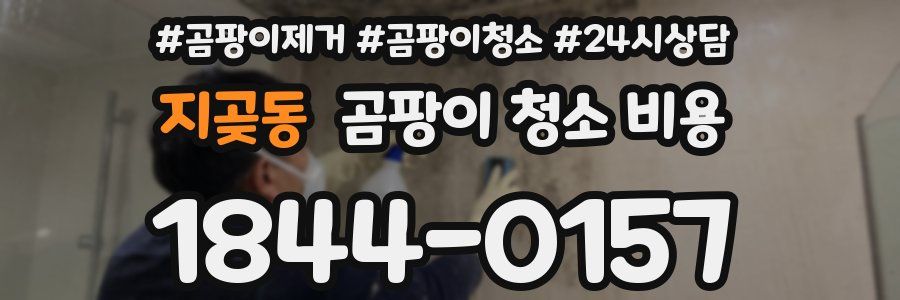지곶동 곰팡이 청소 비용