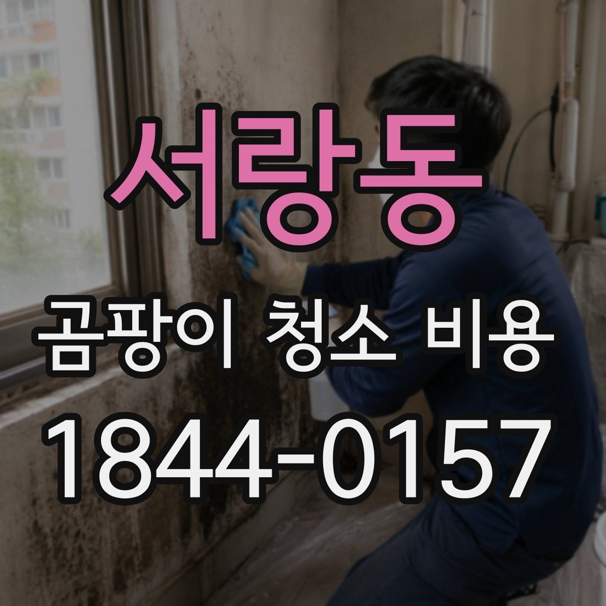 서랑동 곰팡이 청소 비용