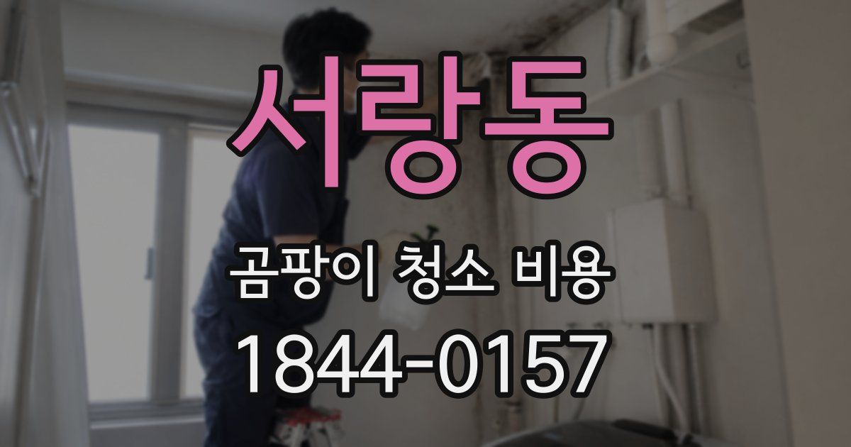 서랑동 곰팡이 청소 비용