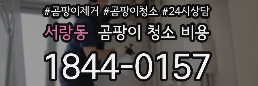 서랑동 곰팡이 청소 비용