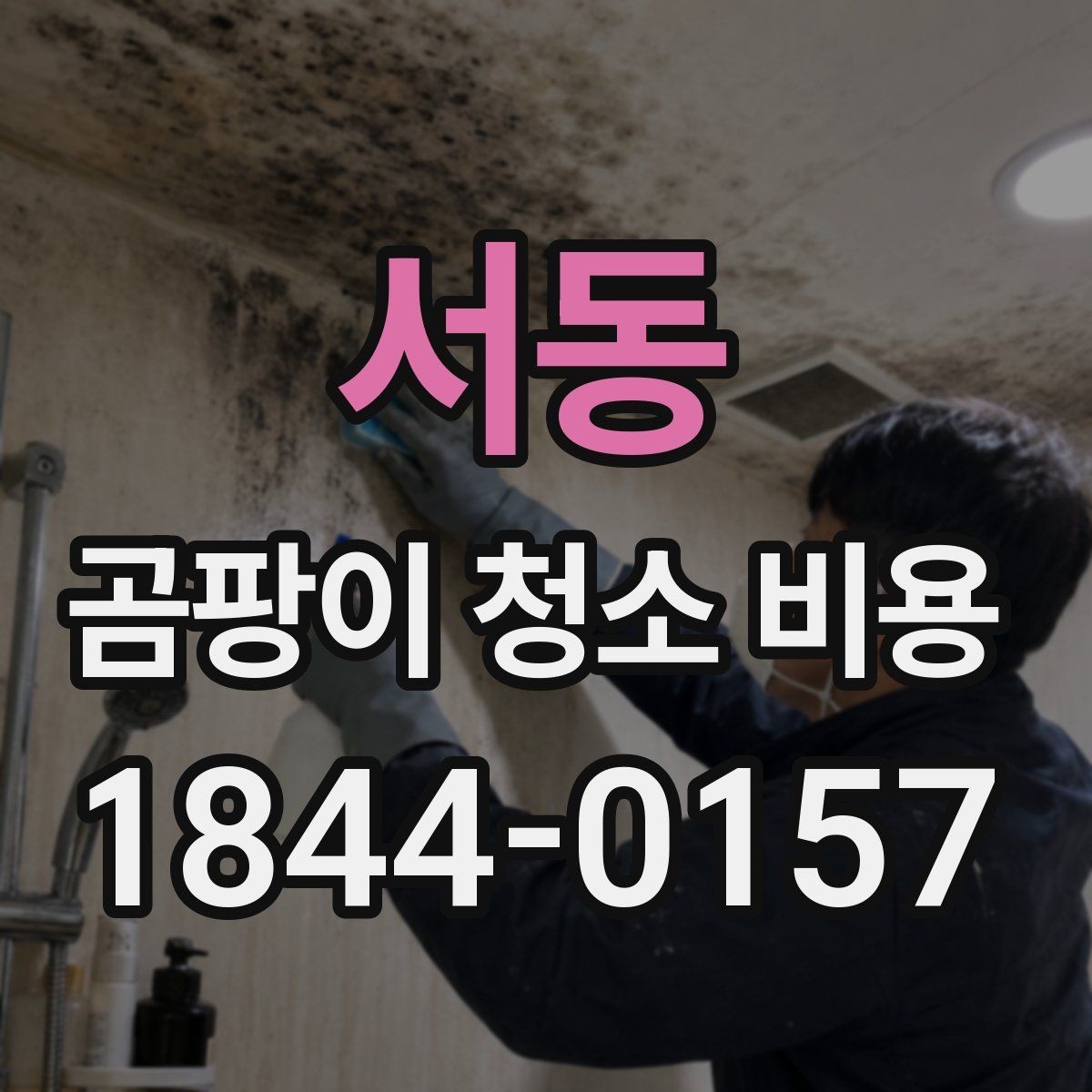 서동 곰팡이 청소 비용 벽지 손상 여부에 따라 달라지는 실제 견적