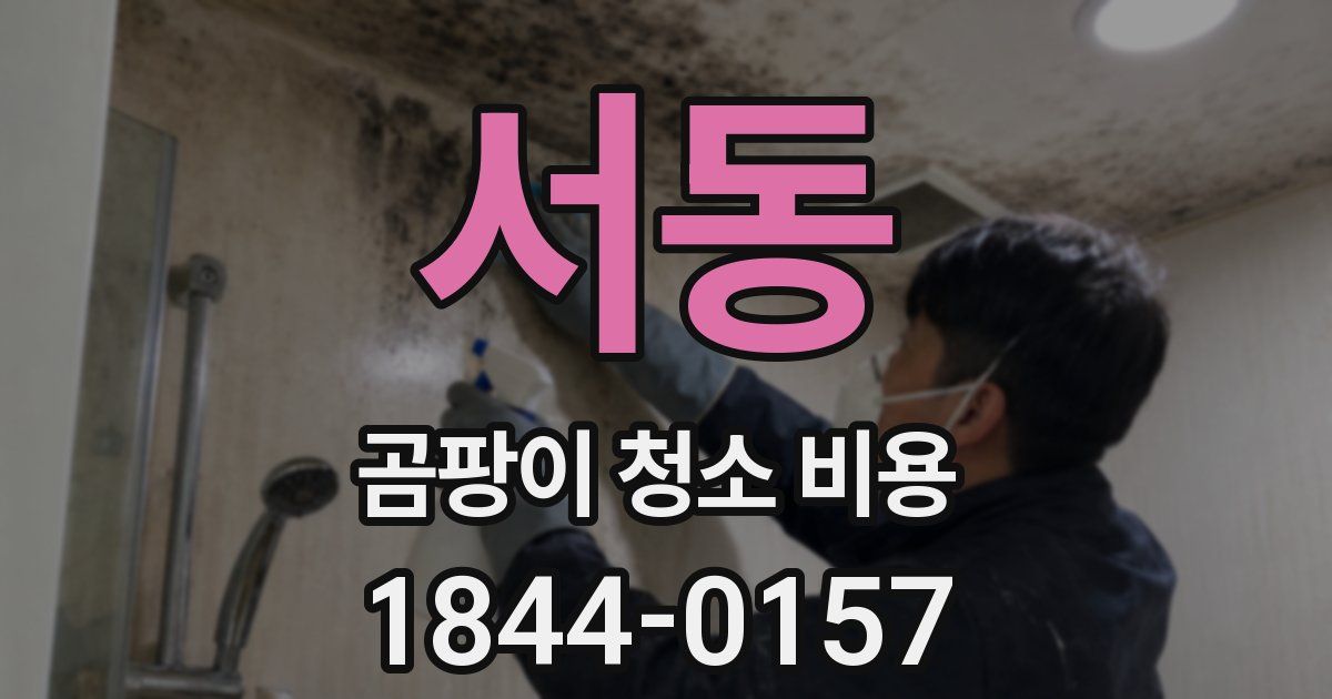 서동 곰팡이 청소 비용