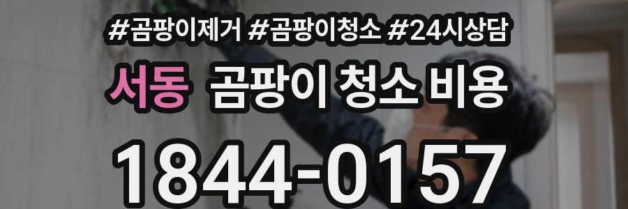 서동 곰팡이 청소 비용
