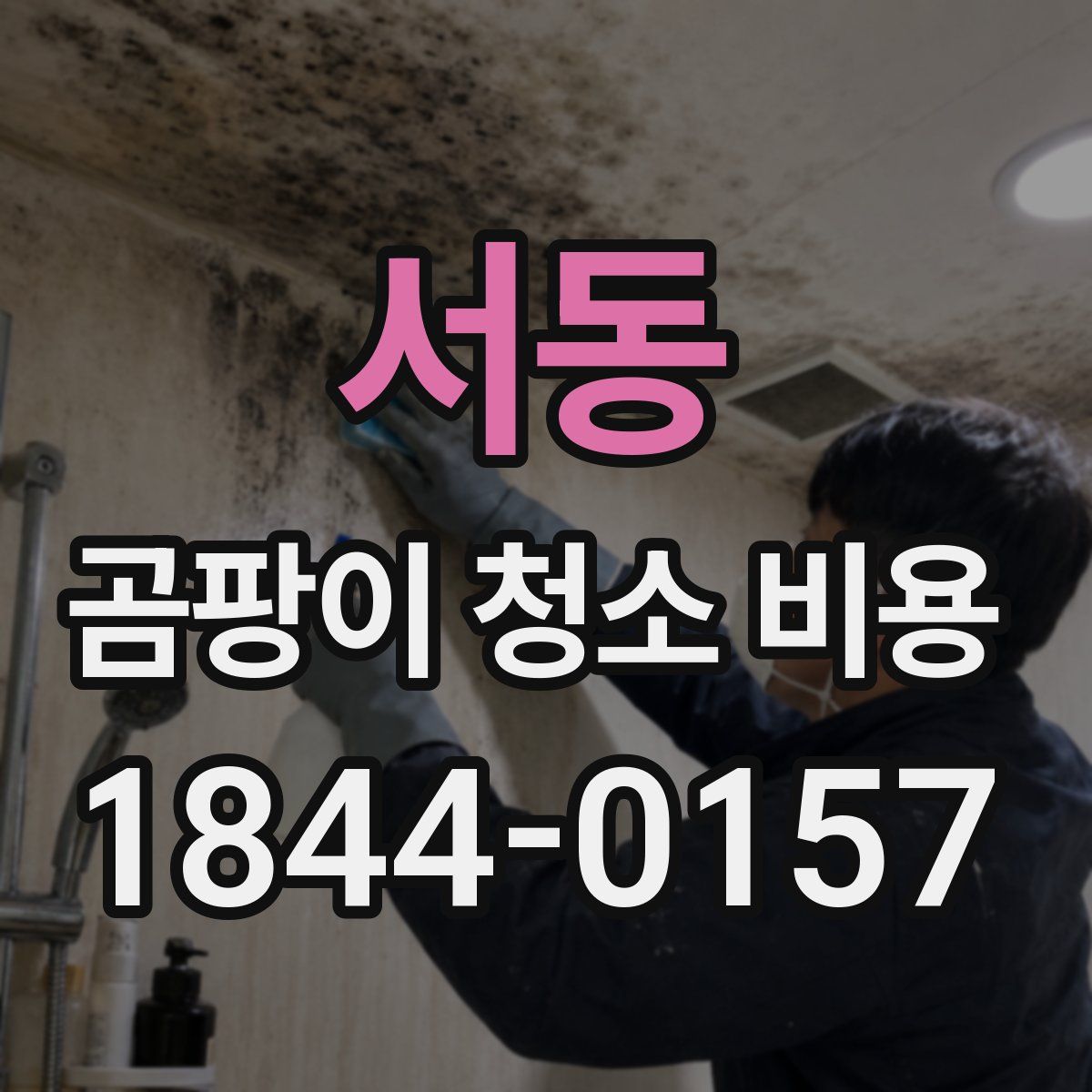 서동 곰팡이 청소 비용
