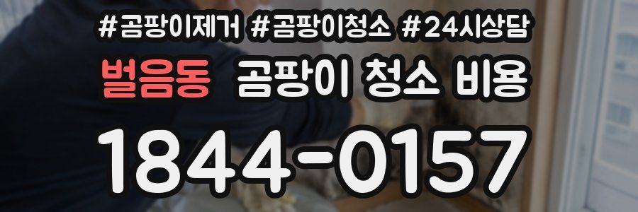 벌음동 곰팡이 청소 비용