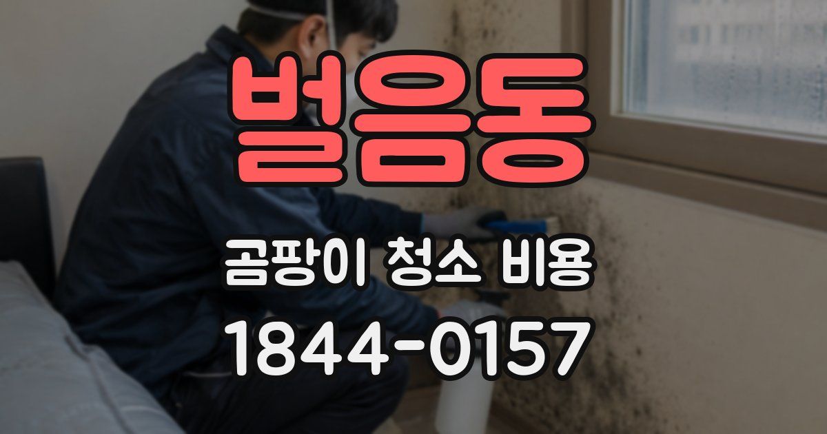 벌음동 곰팡이 청소 비용