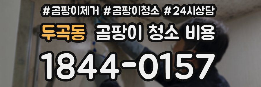 두곡동 곰팡이 청소 비용