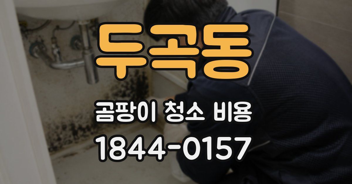두곡동 곰팡이 청소 비용