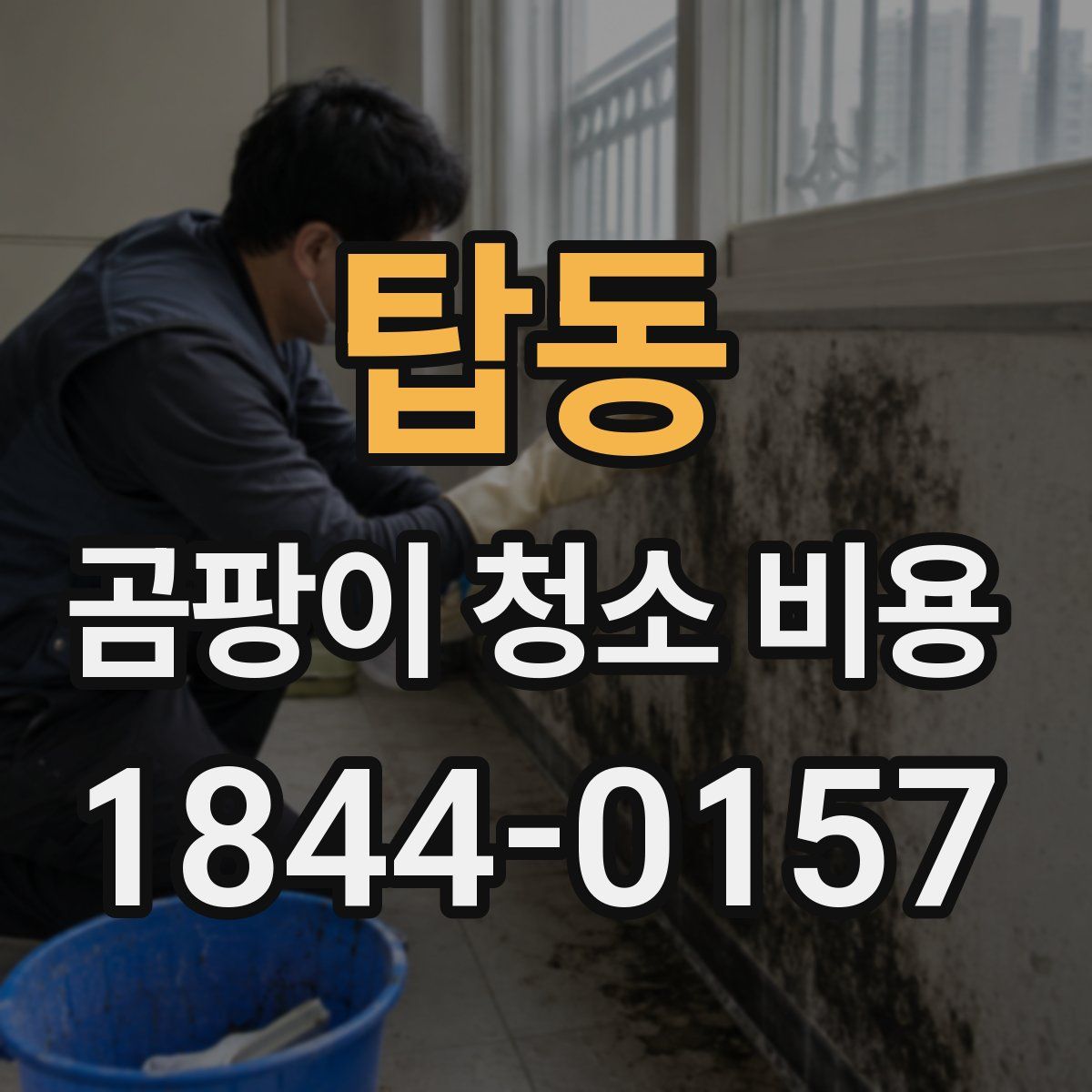 탑동 곰팡이 청소 비용