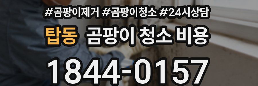 탑동 곰팡이 청소 비용