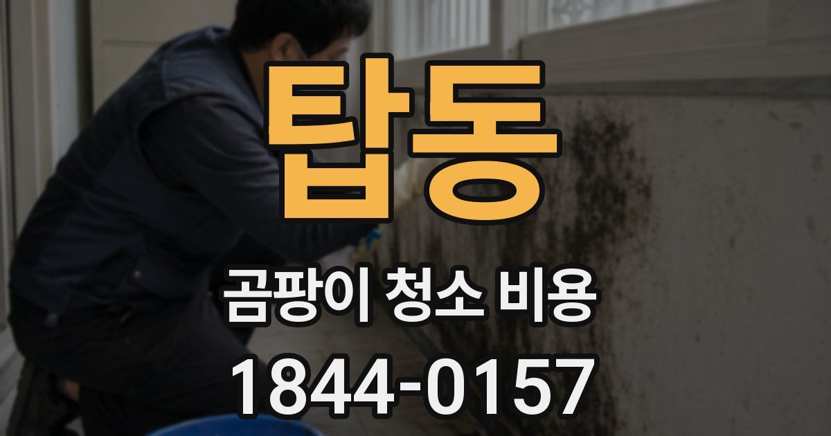 탑동 곰팡이 청소 비용