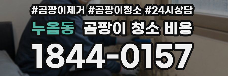 누읍동 곰팡이 청소 비용