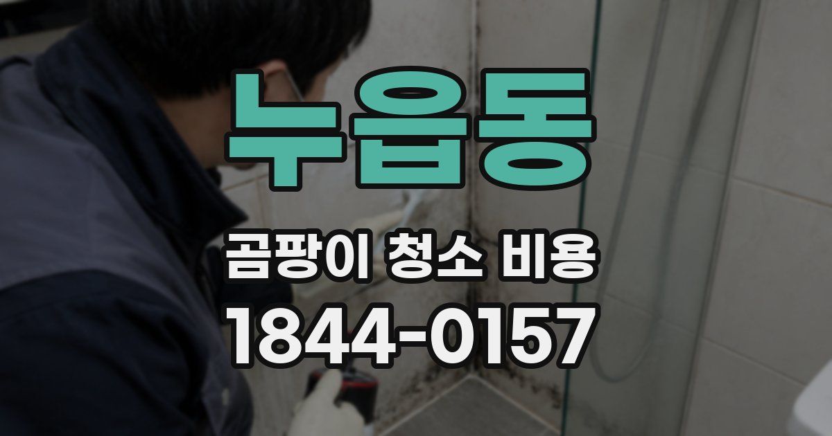 누읍동 곰팡이 청소 비용