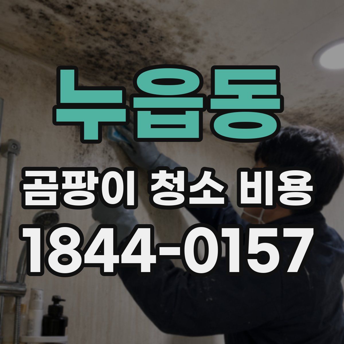 누읍동 곰팡이 청소 비용