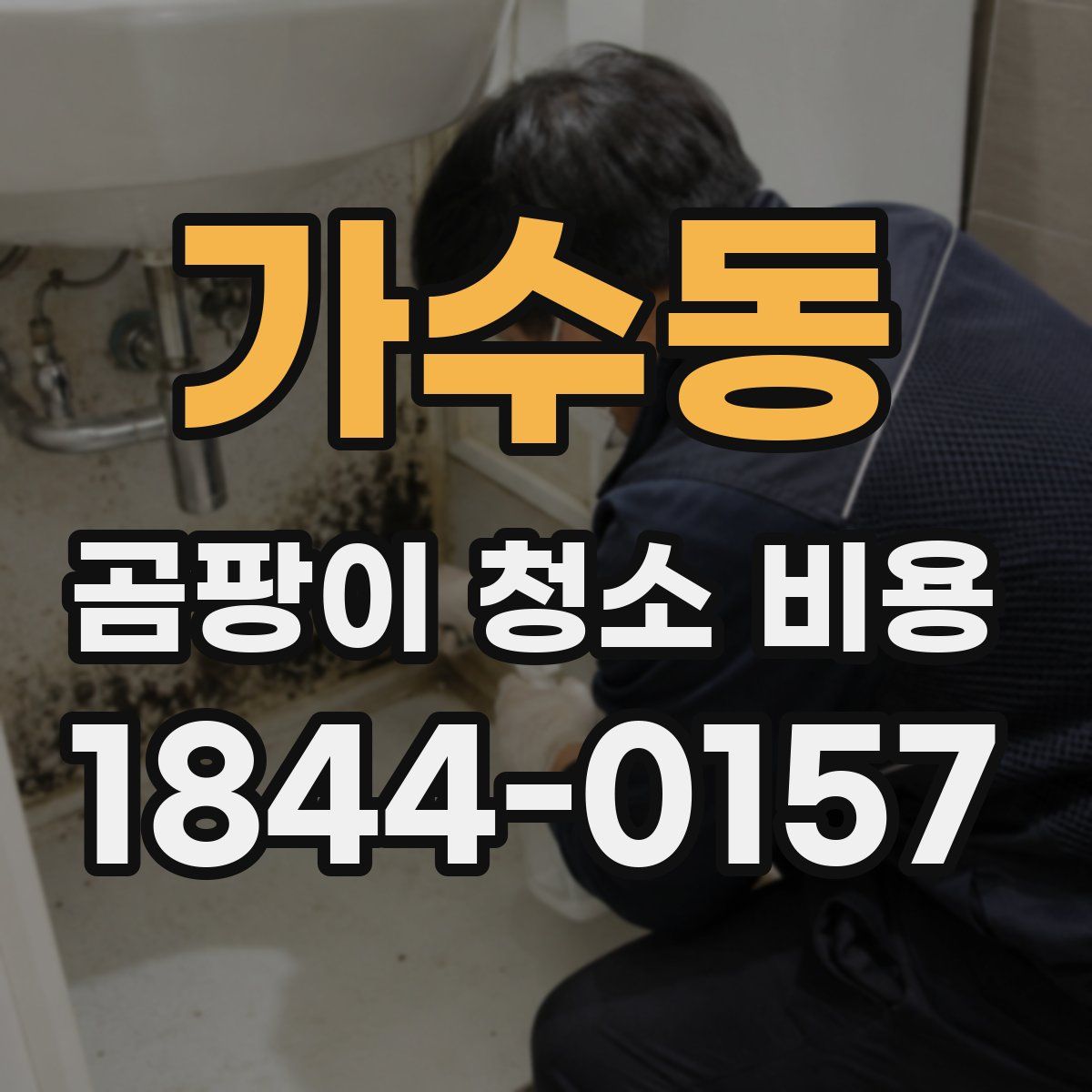 가수동 곰팡이 청소 비용