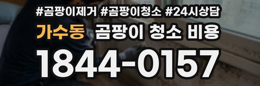 가수동 곰팡이 청소 비용