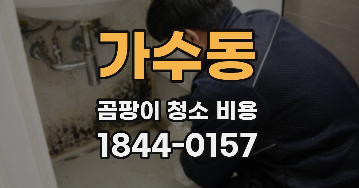 가수동 곰팡이 청소 비용