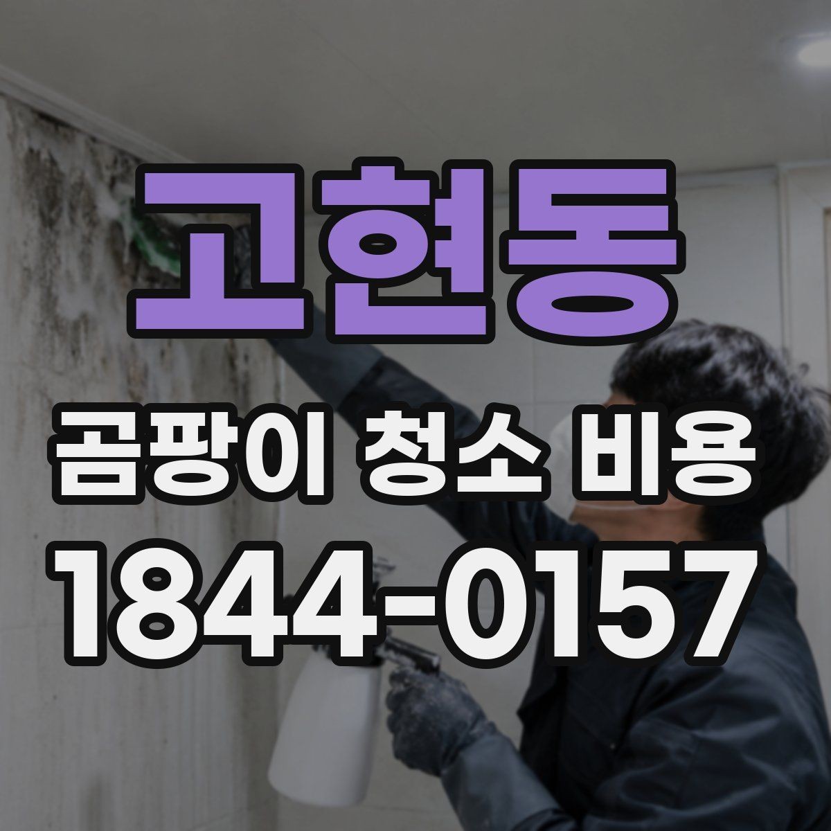 고현동 곰팡이 청소 비용 결로 개선 없이 청소만 했을 때 생기는 문제