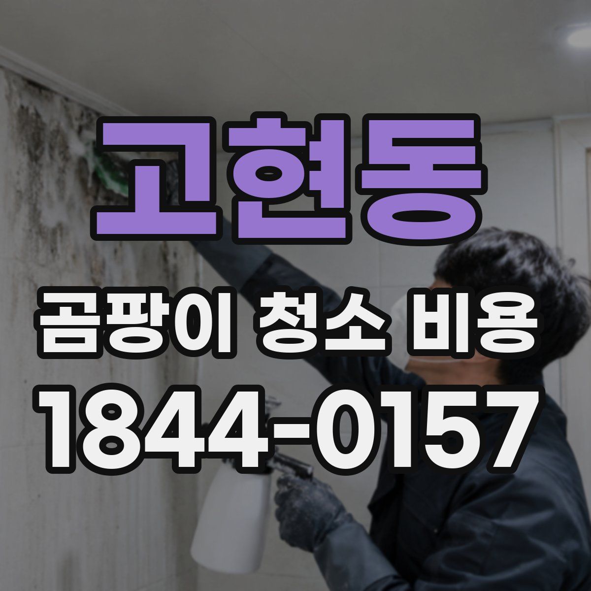 고현동 곰팡이 청소 비용