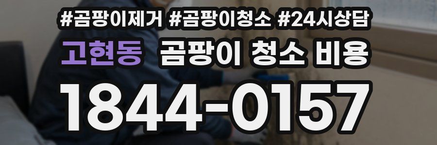 고현동 곰팡이 청소 비용