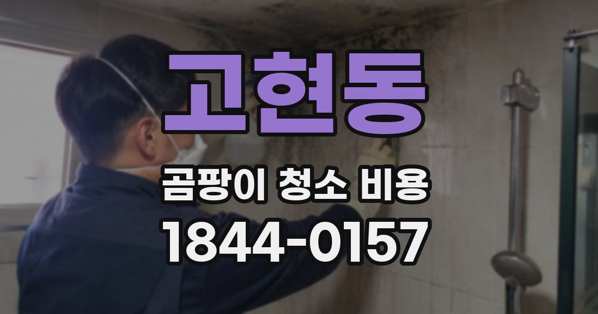 고현동 곰팡이 청소 비용