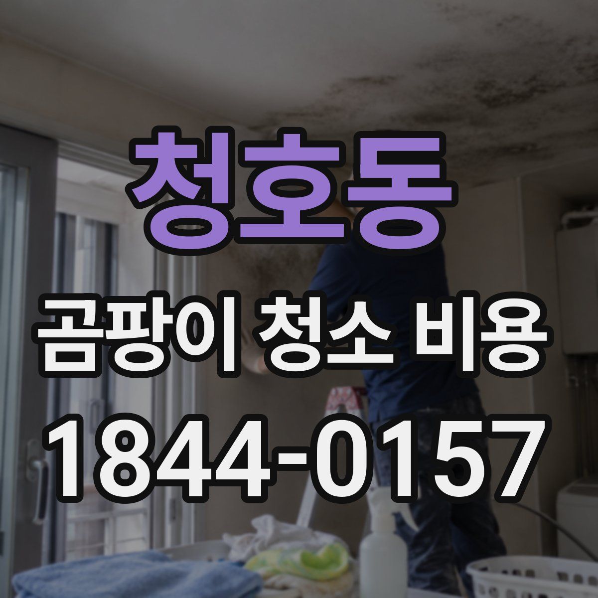 청호동 곰팡이 청소 비용