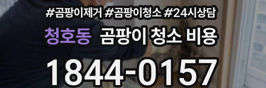 청호동 곰팡이 청소 비용