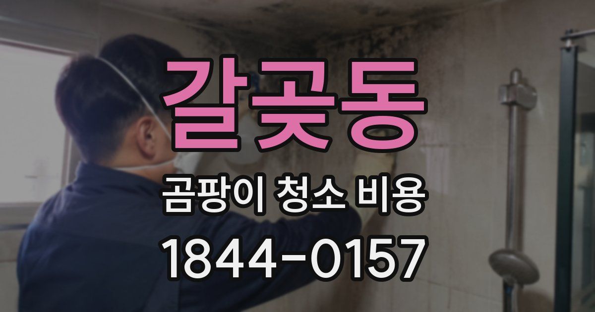 갈곶동 곰팡이 청소 비용