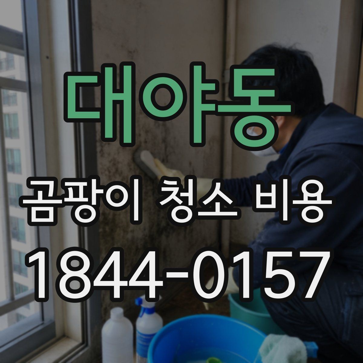 대야동 곰팡이 청소 비용 약품 선택에 따라 달라지는 작업 범위