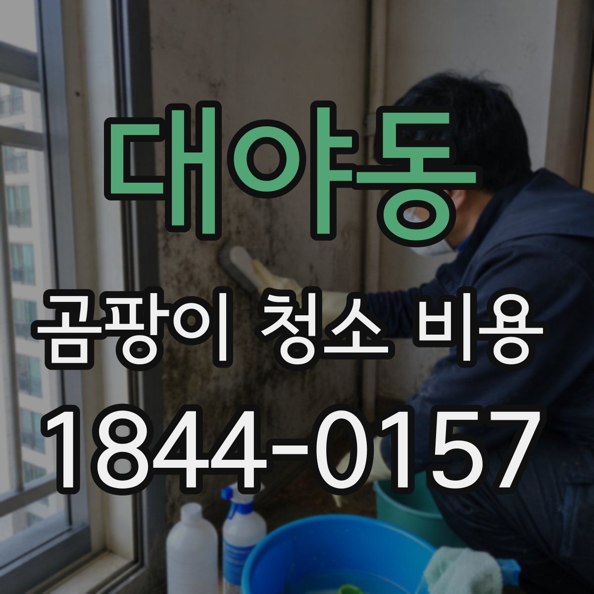 대야동 곰팡이 청소 비용